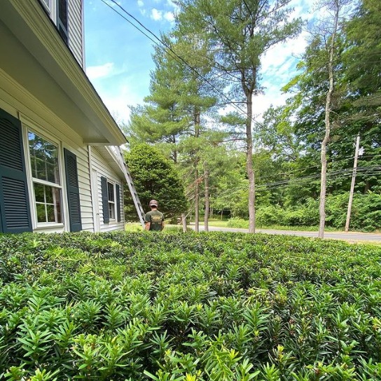 105986116_889546464788828_5936952122976925371_n